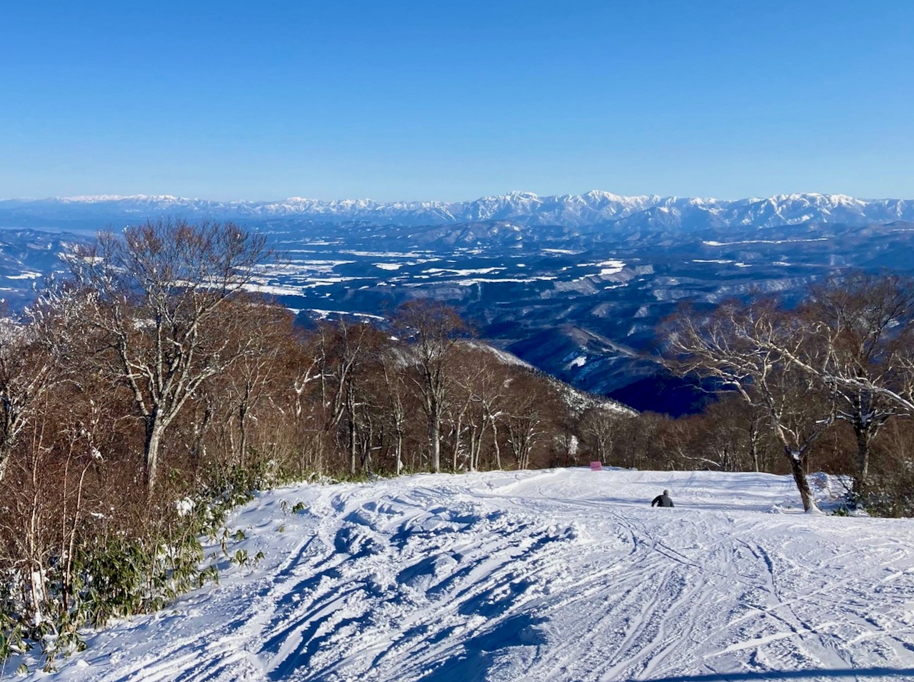 Early Bird Deals Japan