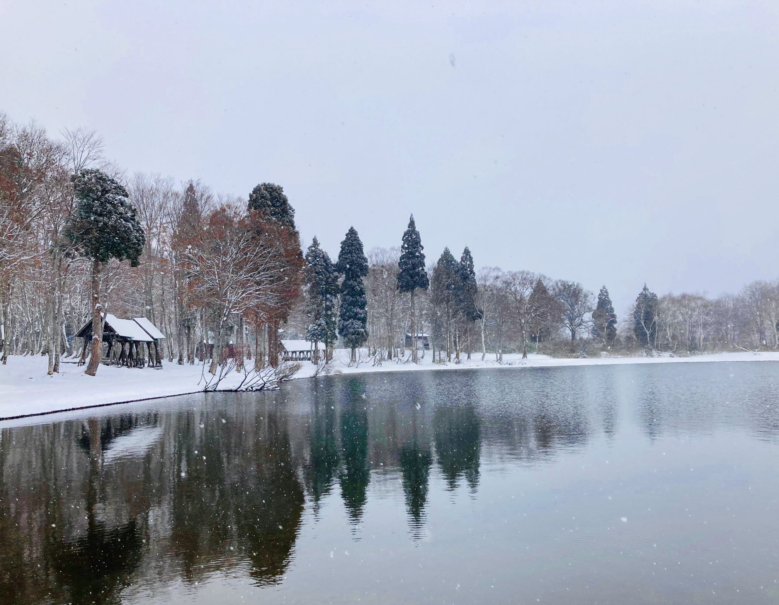 Snow Season Update Japan