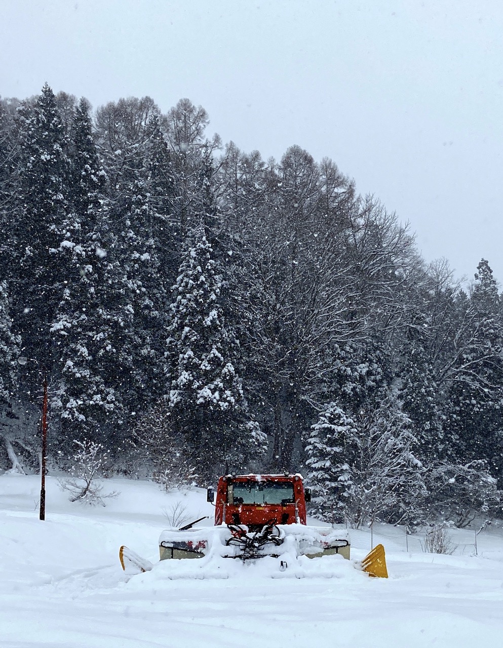 Nozawa Resort Open 2021