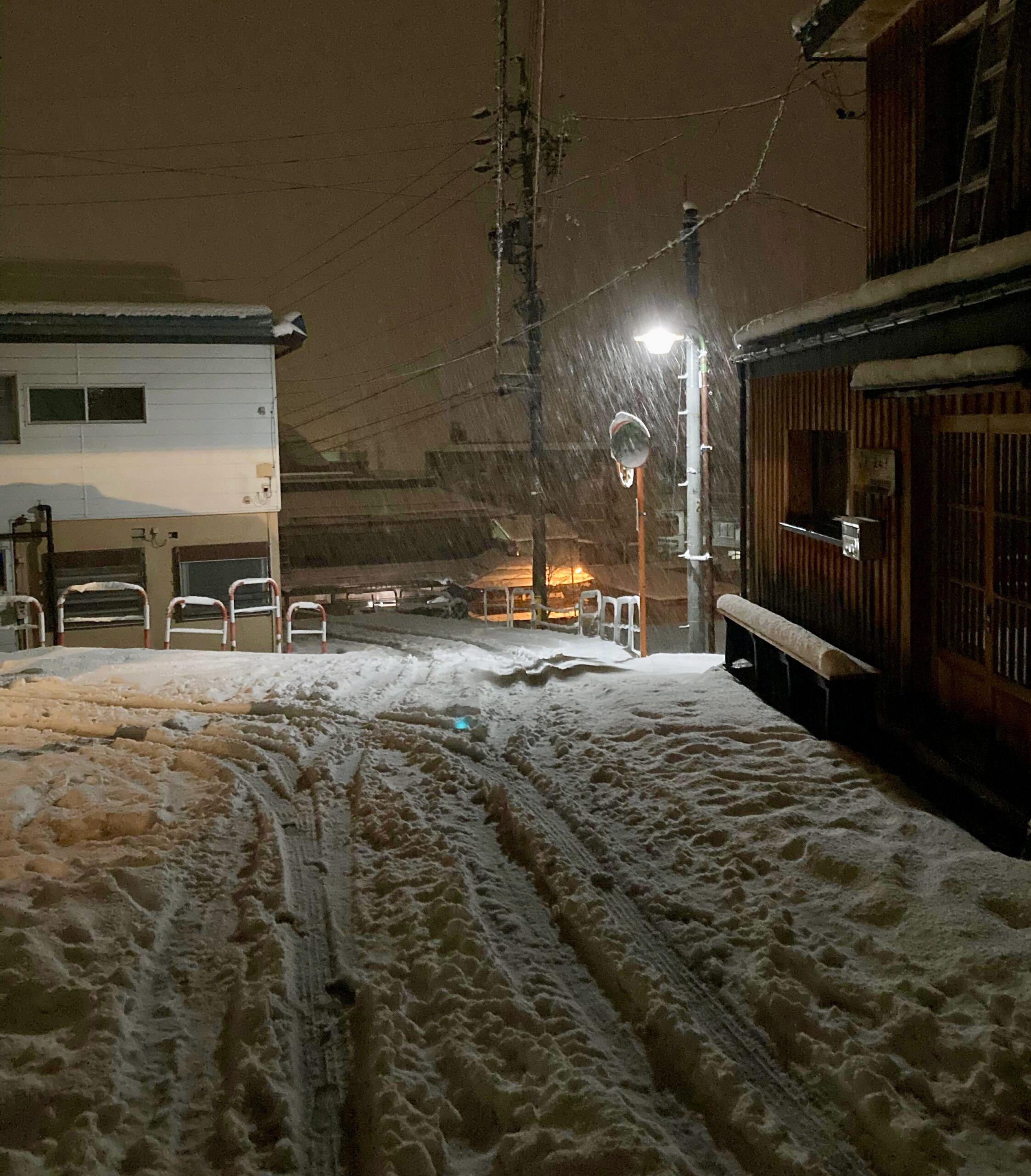 Nozawa Resort Open 2021