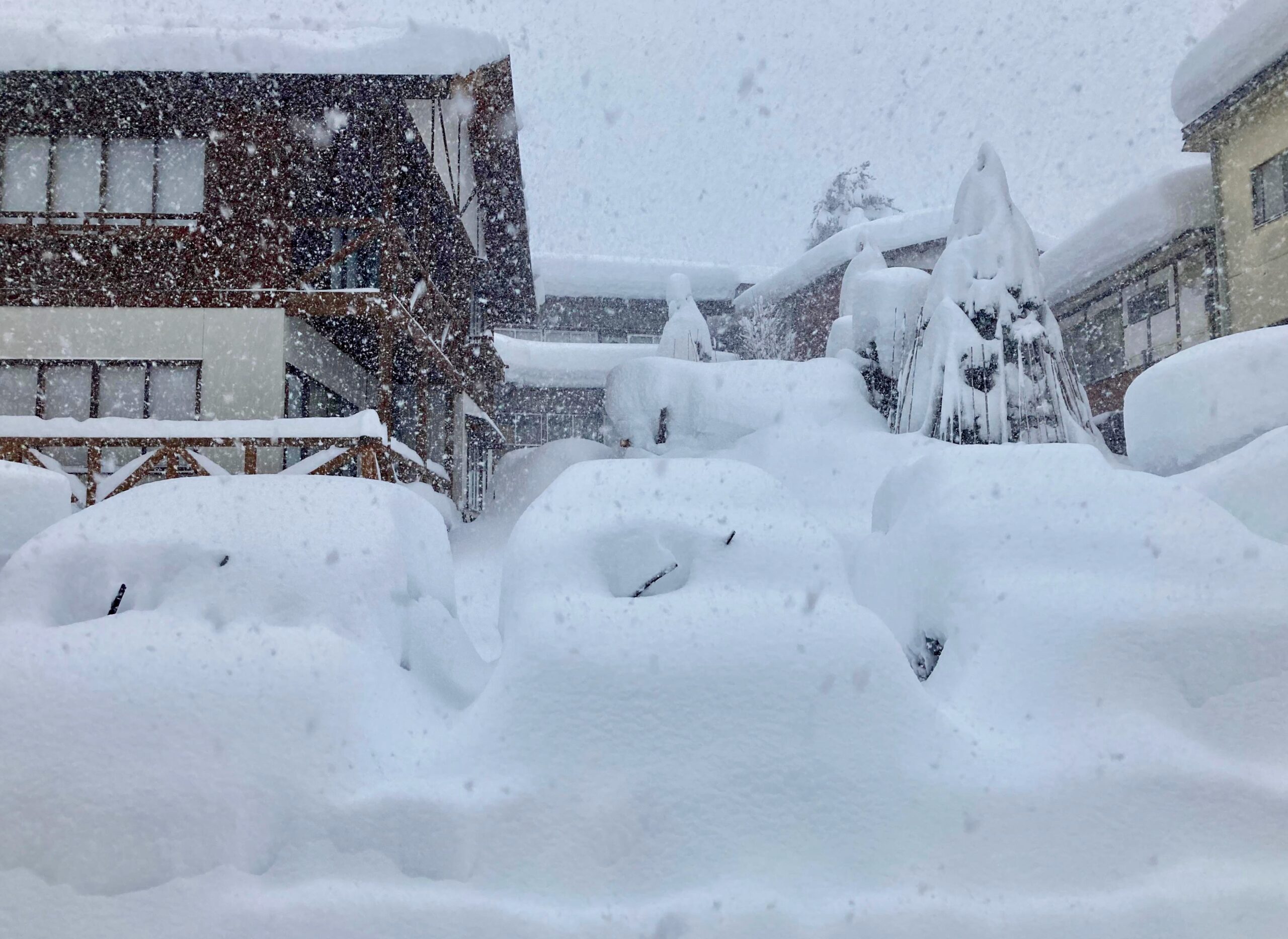 Events Nozawa Onsen Japan