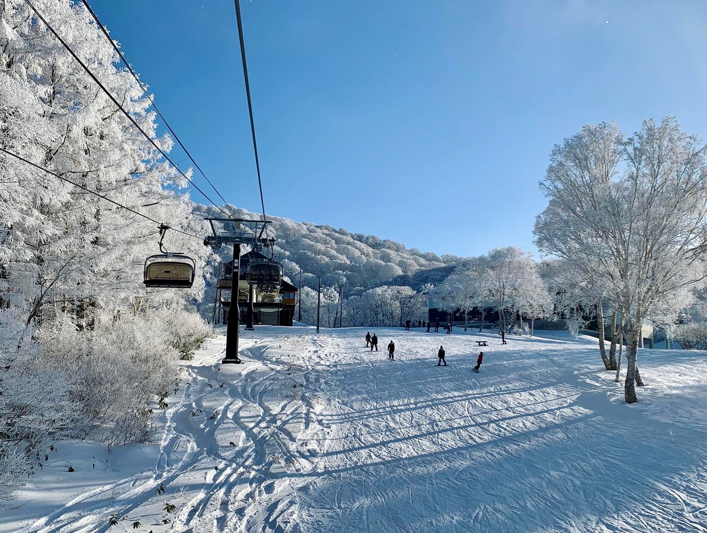 Snow Forecast Nozawa Onsen