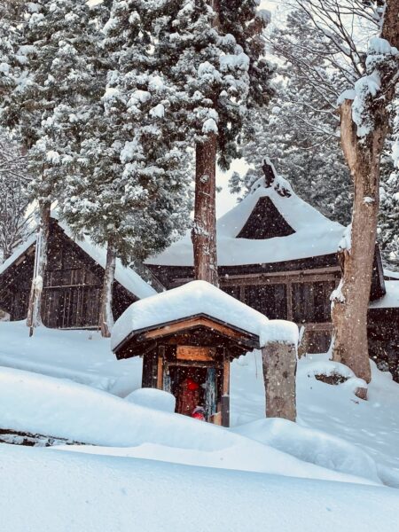 Nozawa Japan Snow Forecast