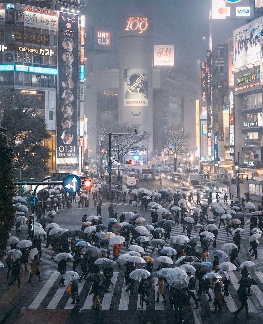 Snow Tokyo Ski Japan
