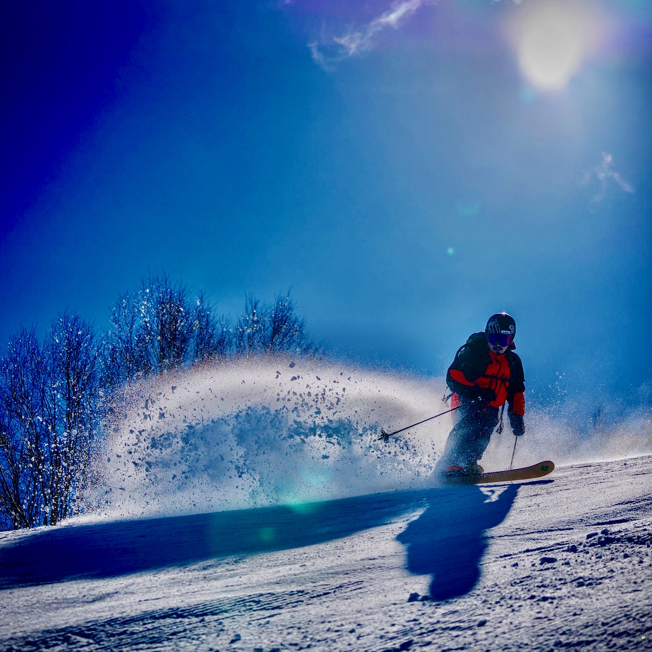 Telemark Clinic Nozawa Japan 