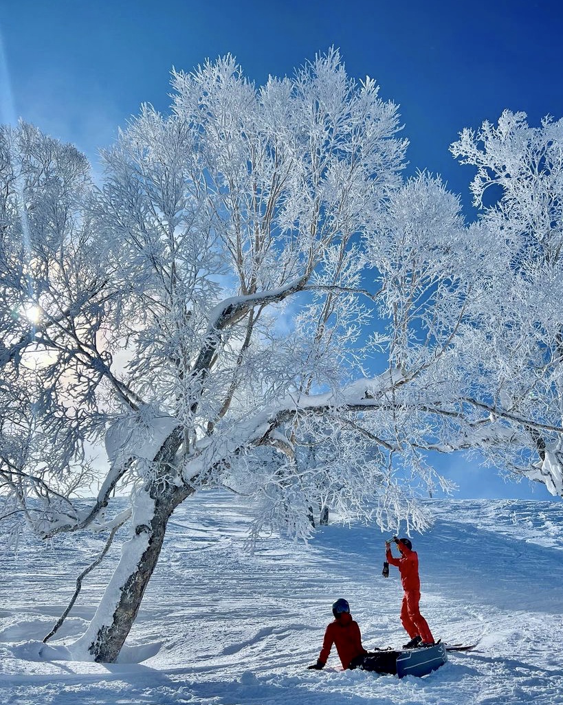 Specials Spring Skiing Japan