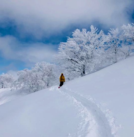 Web Cams Nozawa Onsen