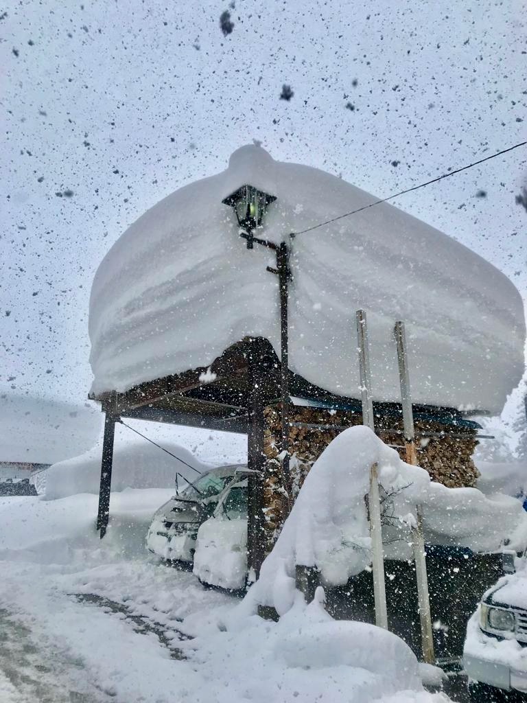 Average Snowfall Nozawa Japan