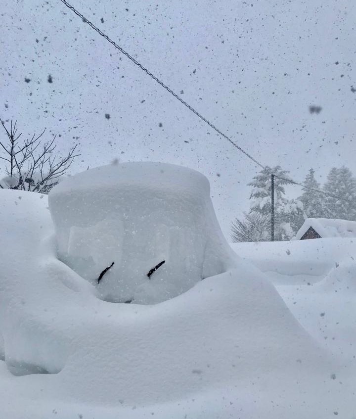 Average Snowfall Nozawa Japan