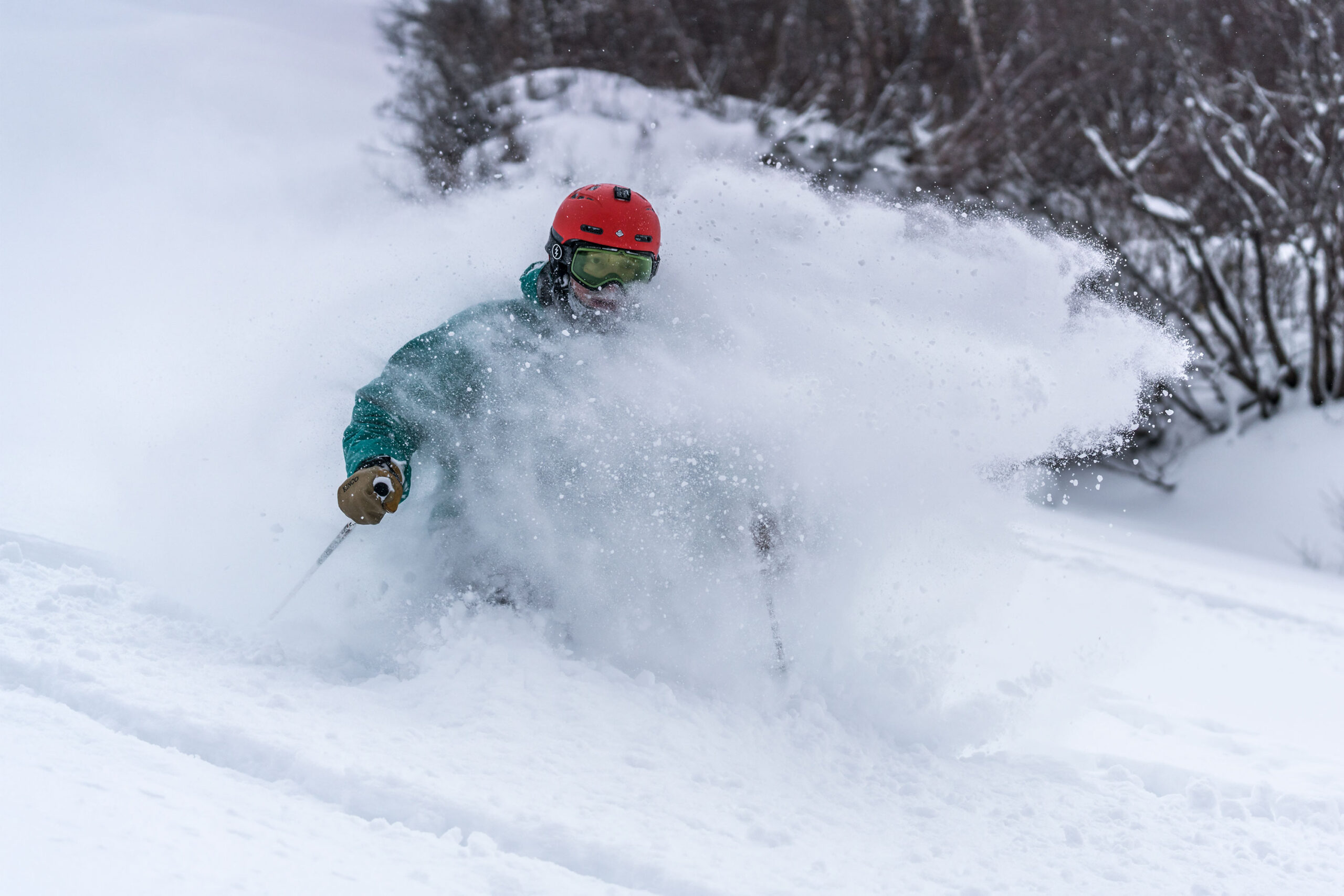 How to ski powder