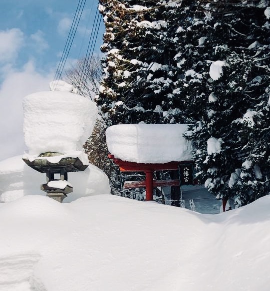 Web Cams Nozawa Onsen