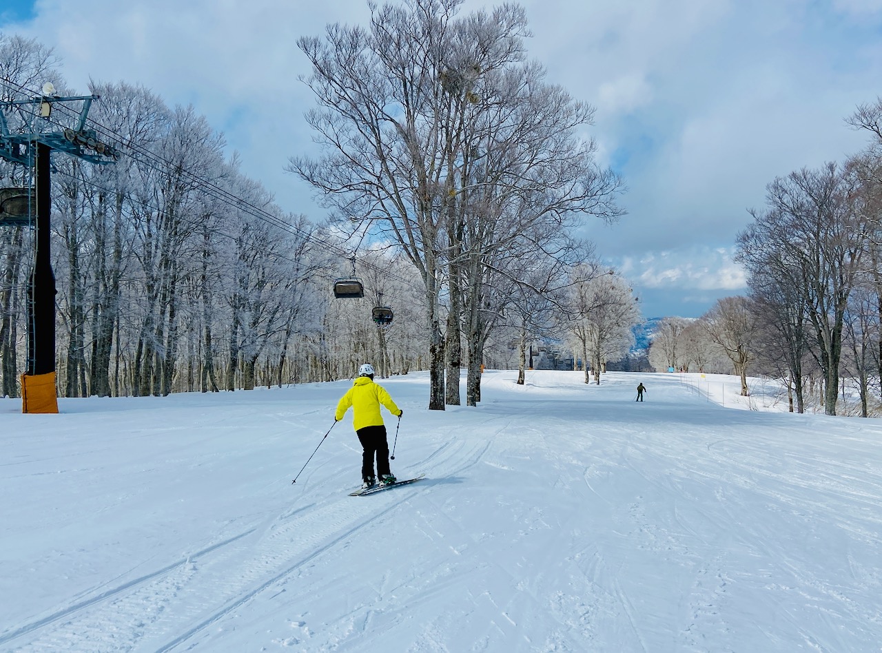 Japan Ski Cherry Blossoms