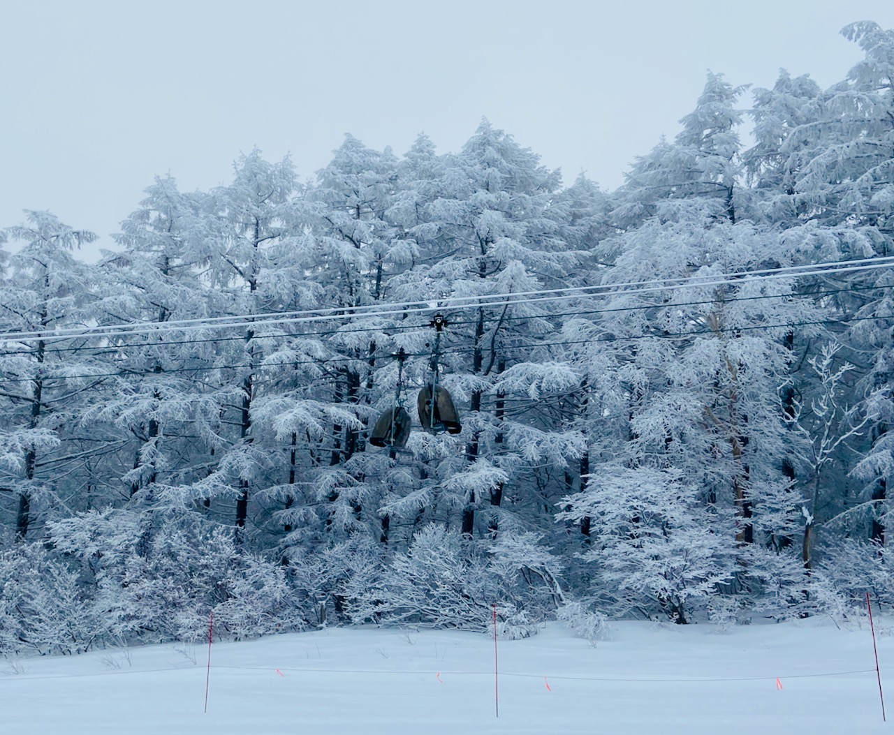 Special Events Nozawa Onsen