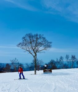 Spring Best Place Japan