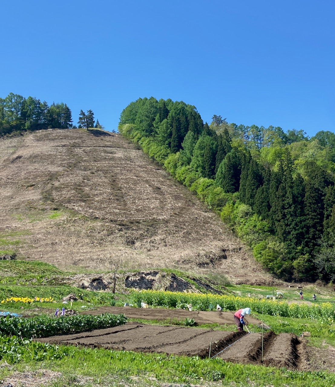 Summer Holiday Nozawa Japan