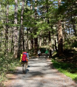 Hike Nozawa Green Season