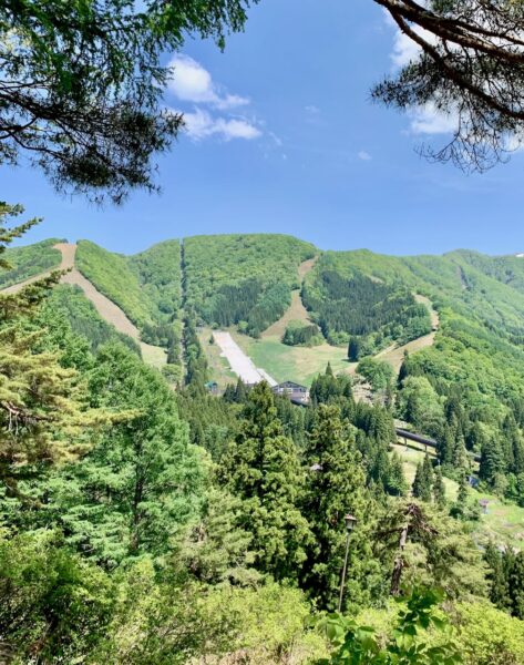 Hike Nozawa Green Season