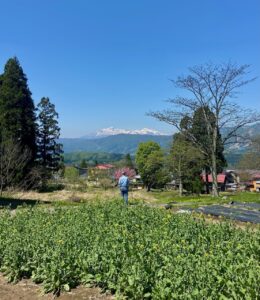 Farming Nozawa Onsen Japan