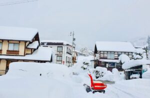 Nozawa Springs Lodge