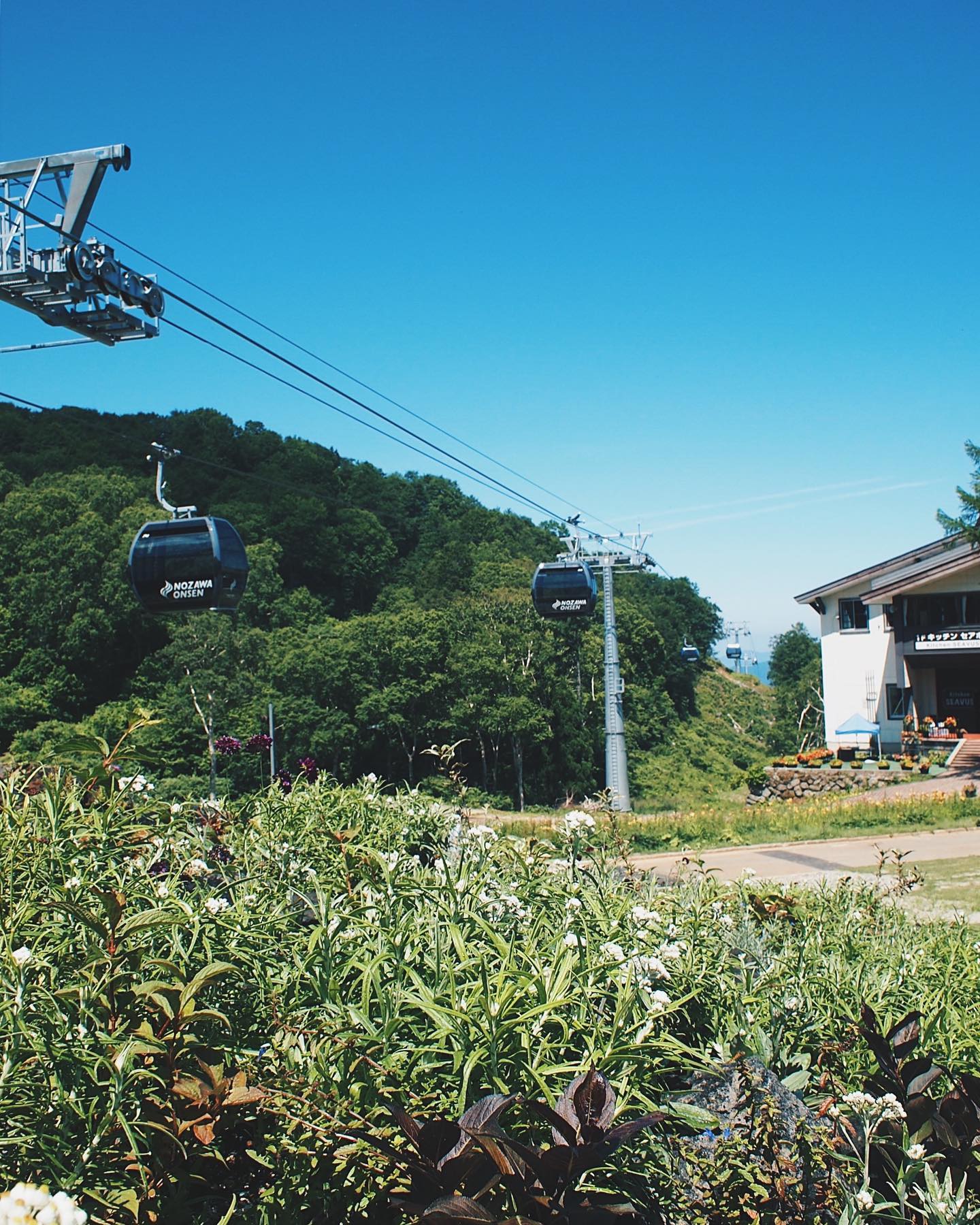 Nozawa Gondola Summer Open