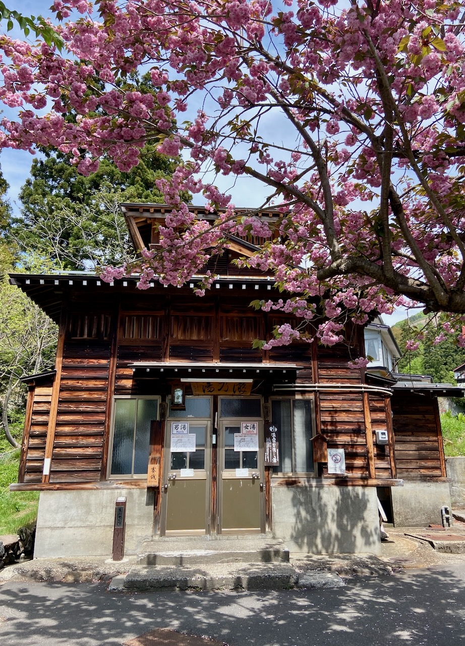 Four Seasons Nozawa Onsen 