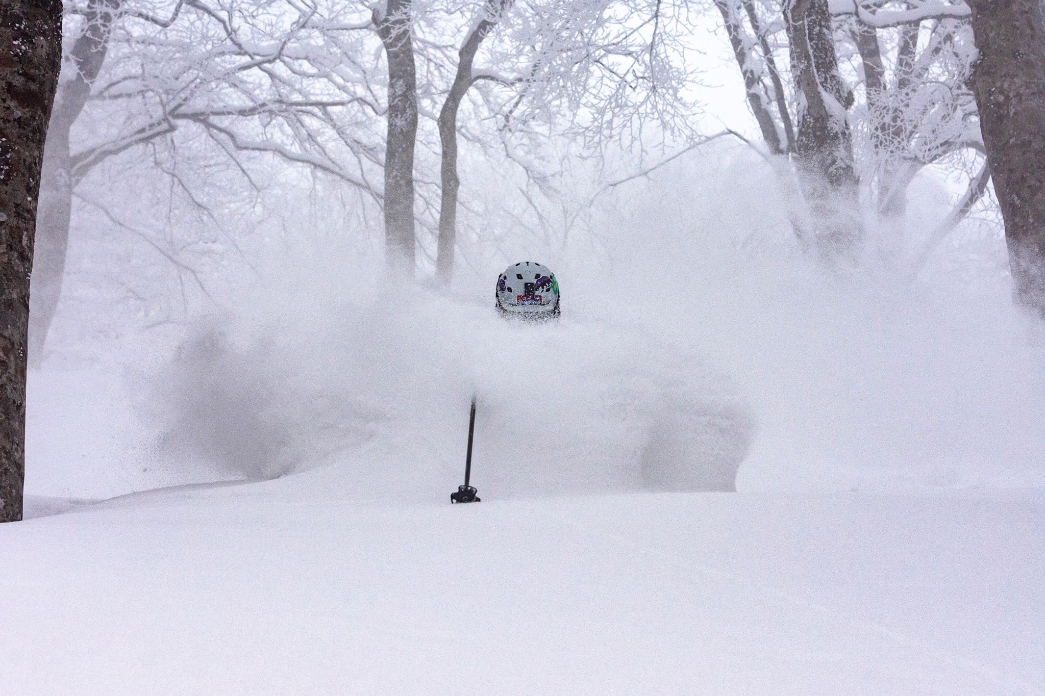 Ski Japan Long Stay