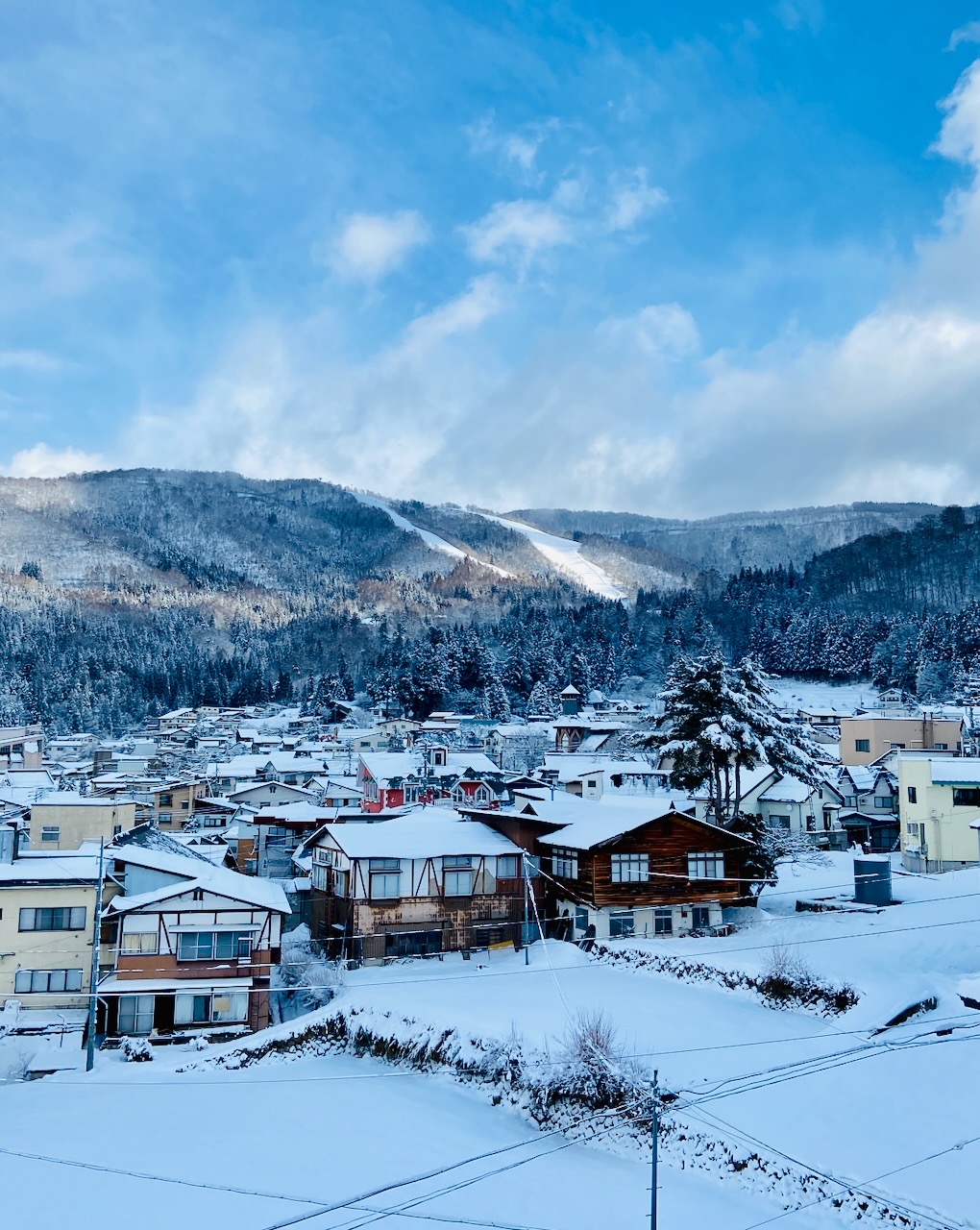 Nozawa Holidays Travel Agent