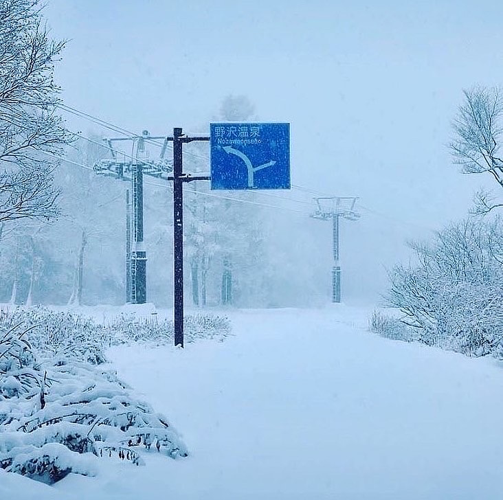 Snow Depth Nozawa Onsen 