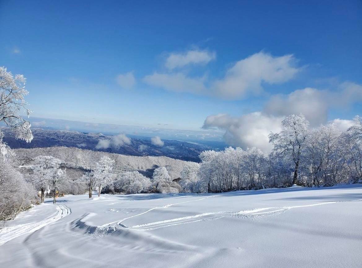 Nozawa Ski Resort Open