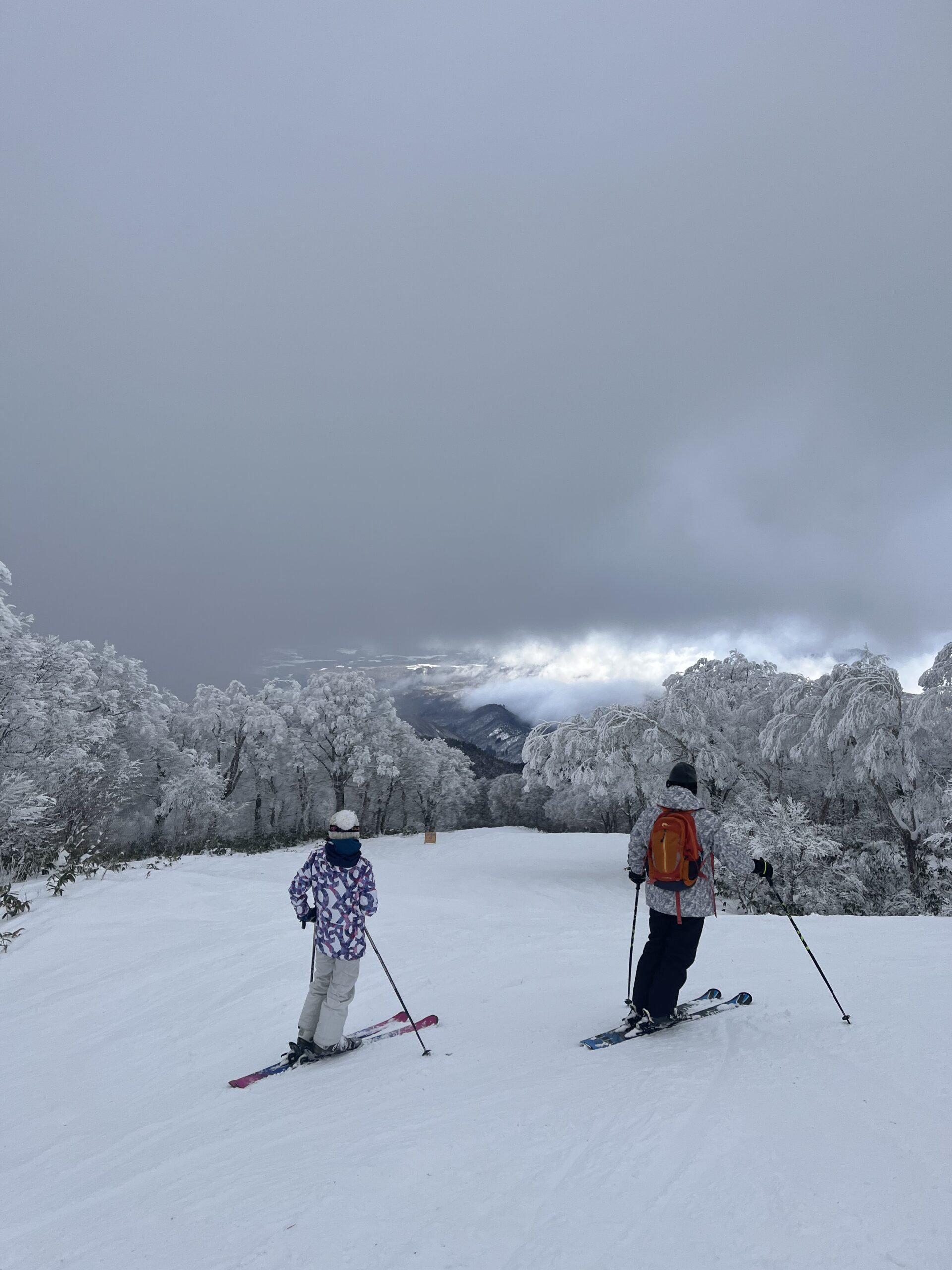 Nozawa Christmas almost here