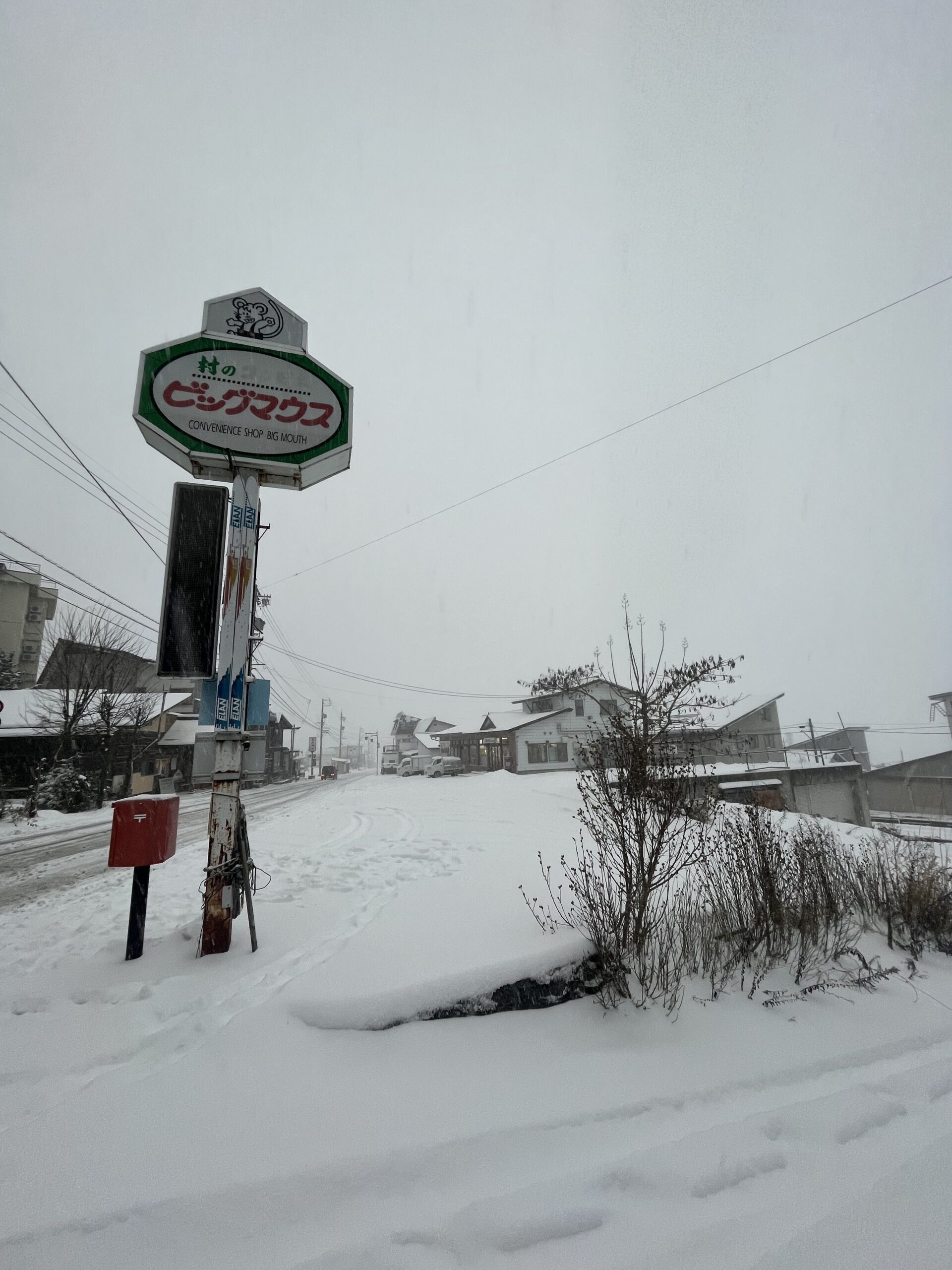 Christmas Eve Snow Nozawa