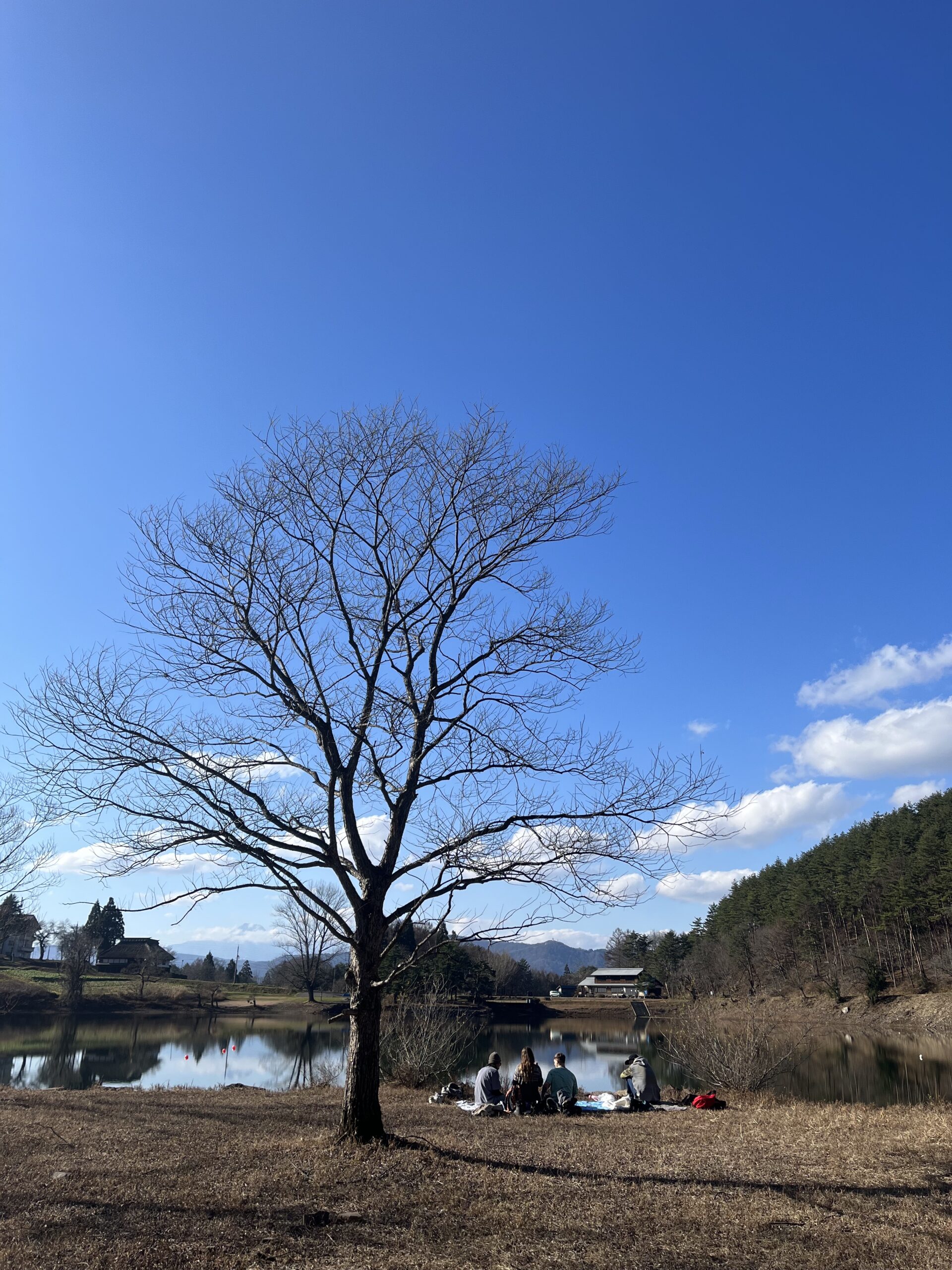 Nozawa snowy Sunday forecast