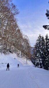 Heavy Snow Nozawa Onsen