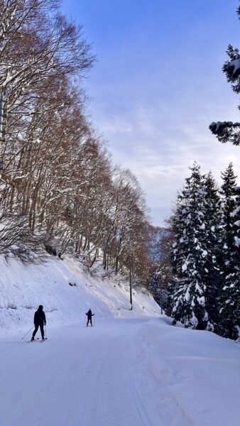 Heavy Snow Nozawa Onsen