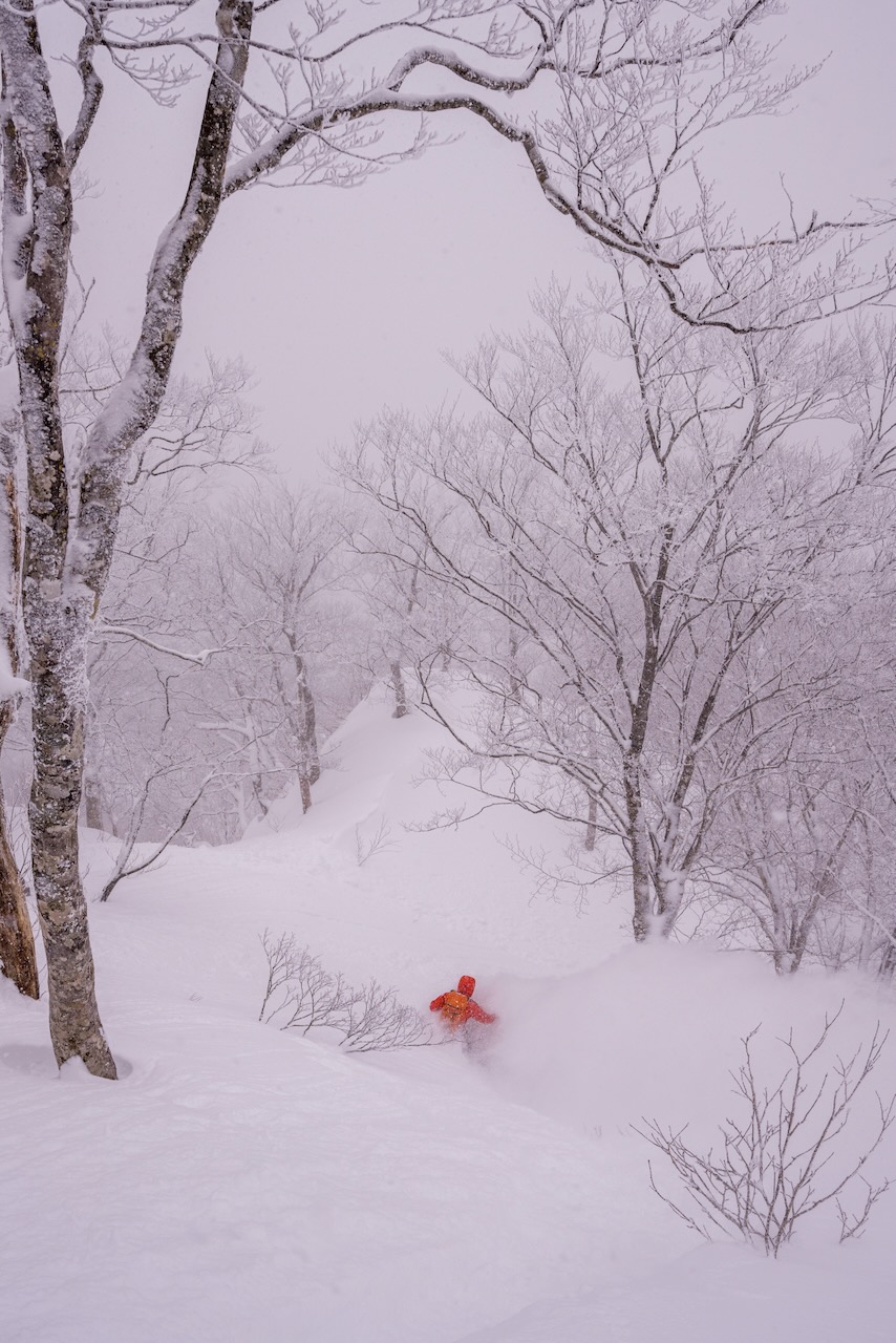 Another Dump Nozawa Onsen