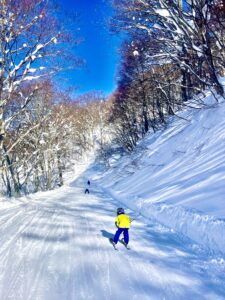 Sunshine Fun Nozawa Onsen