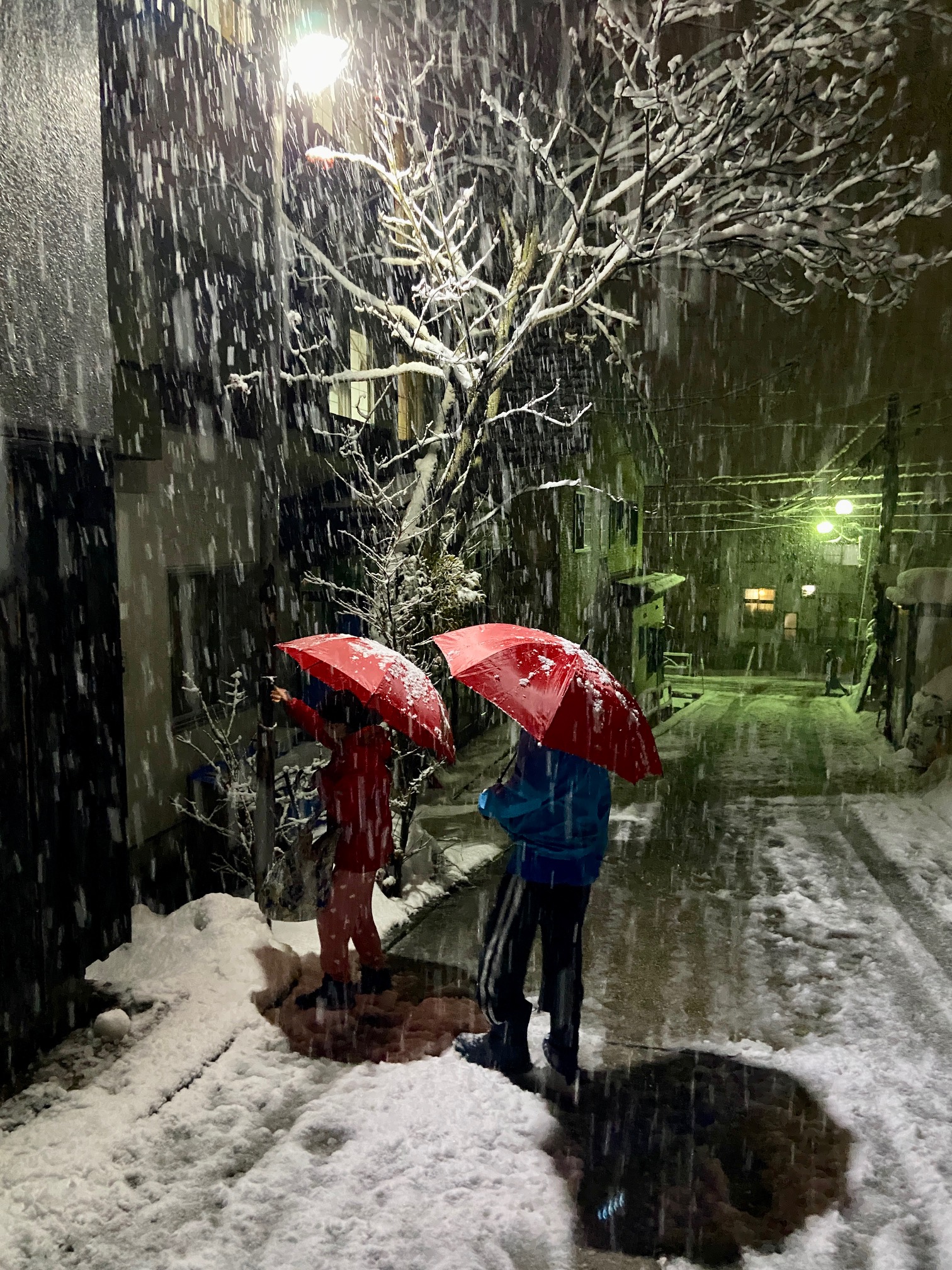 Snow filled January Nozawa