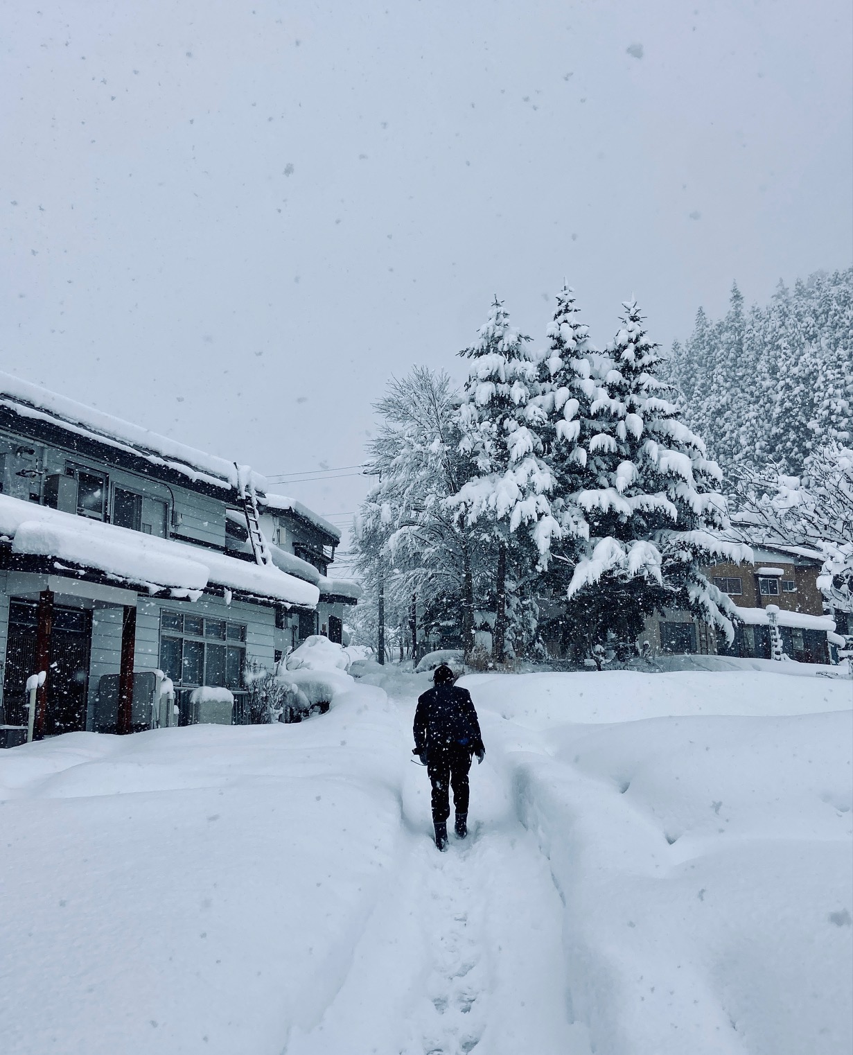 Exploring Snowy Nozawa Onsen