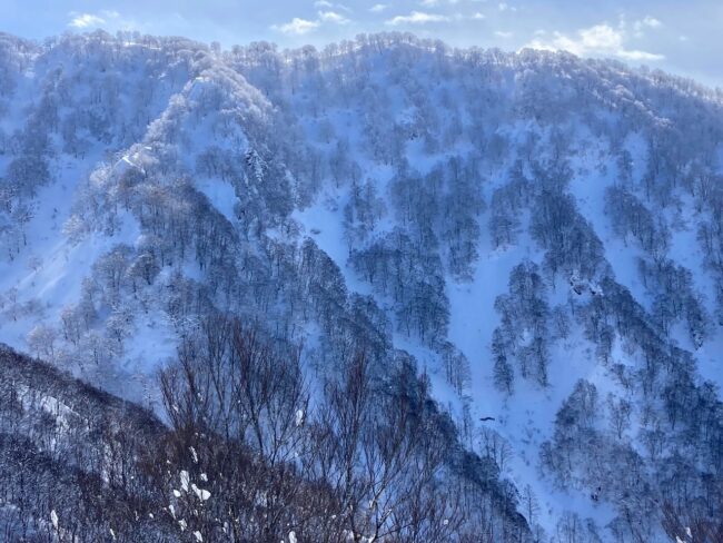 Stay Safe Nozawa Onsen