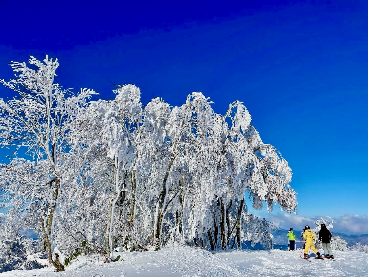 Skiing Nozawa Onsen Japan