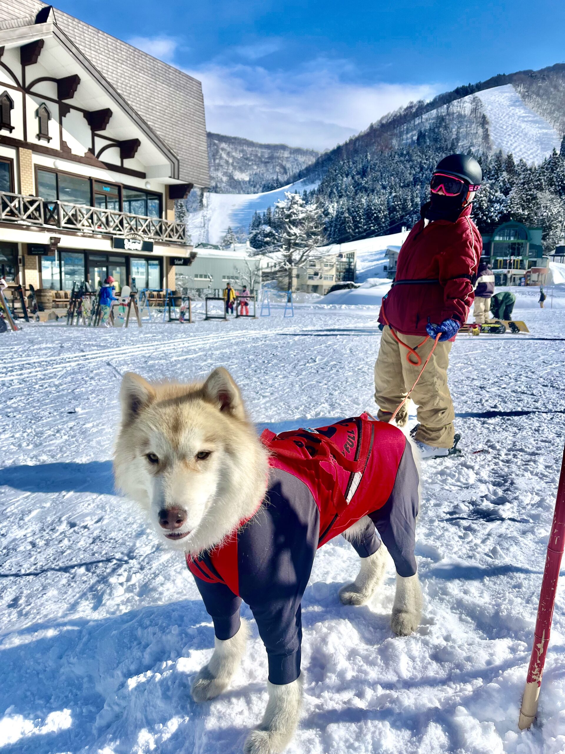 Sunday Pancakes Nozawa Onsen