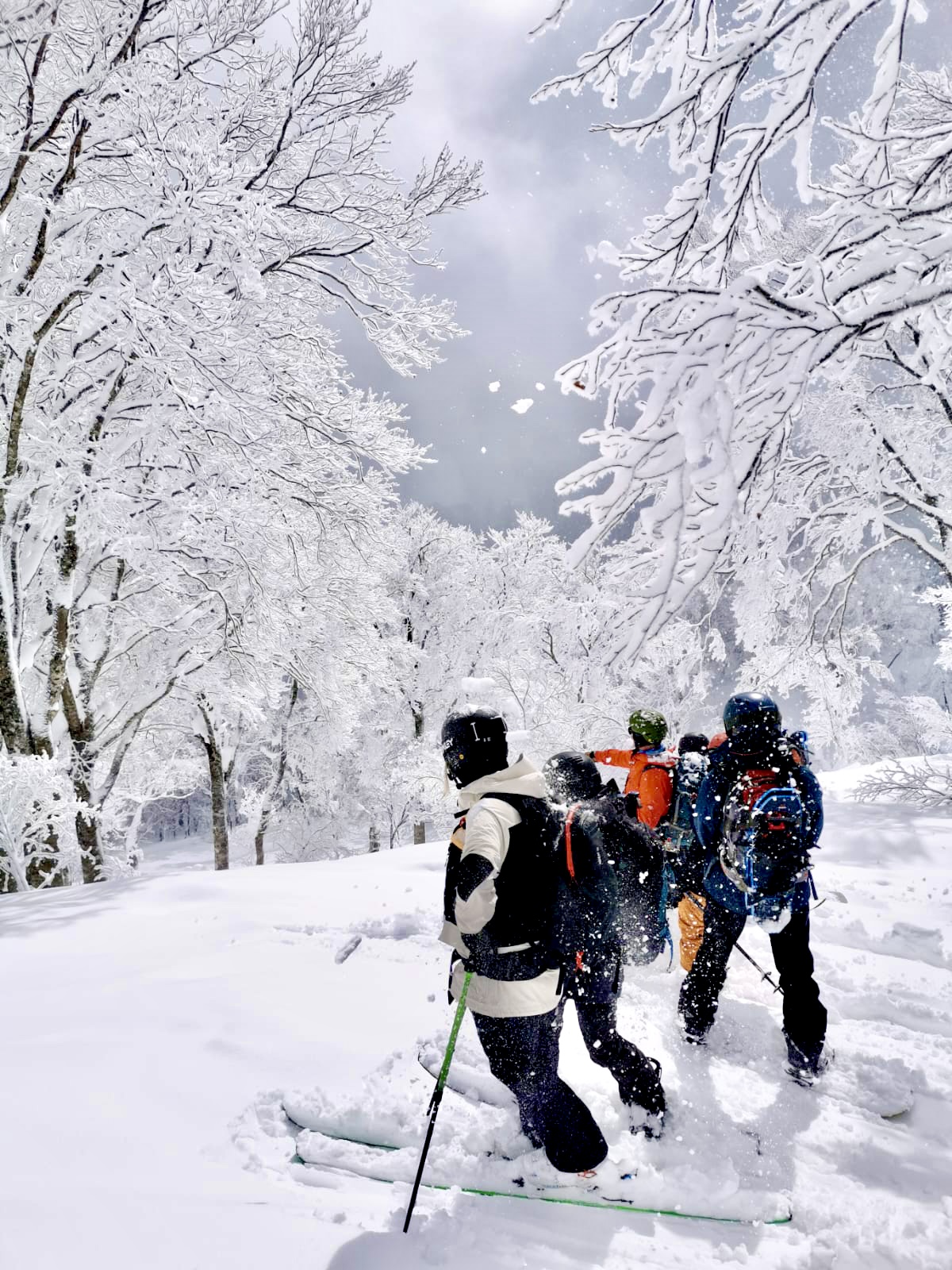 February Weather Update Nozawa