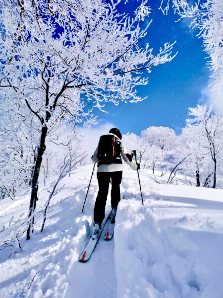 Spring like Saturday Nozawa