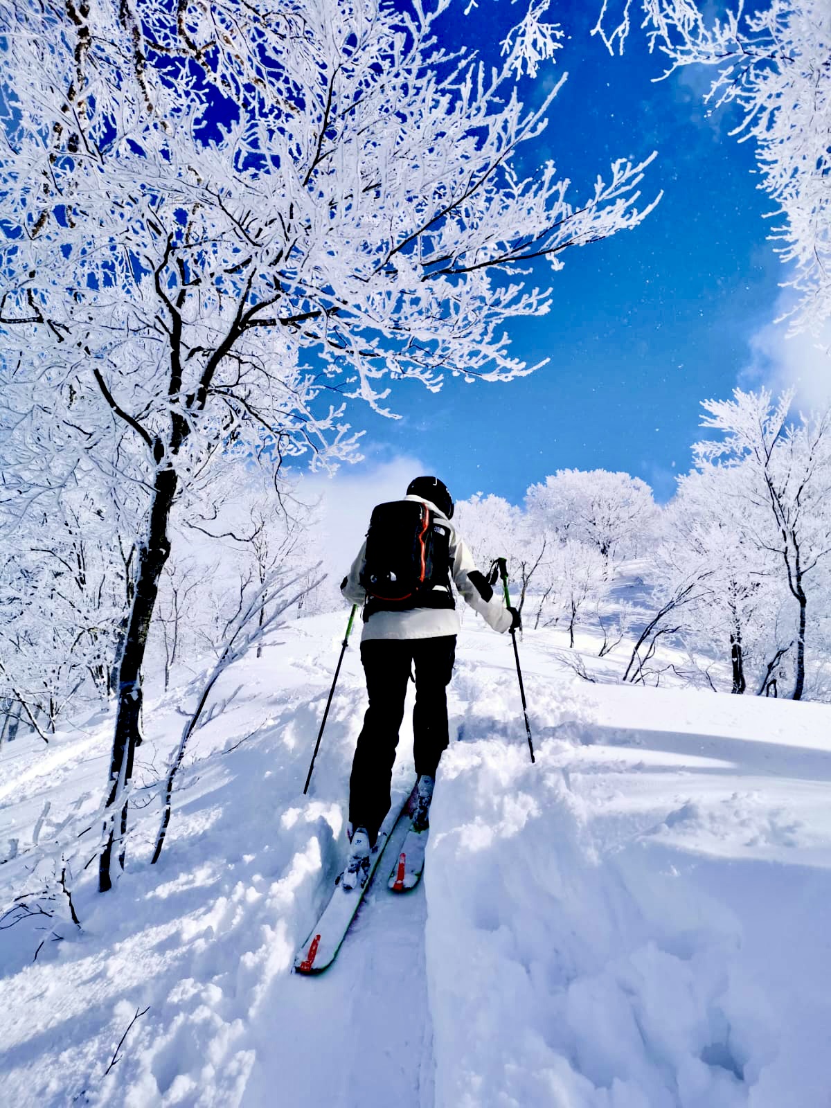 Spring like Saturday Nozawa 