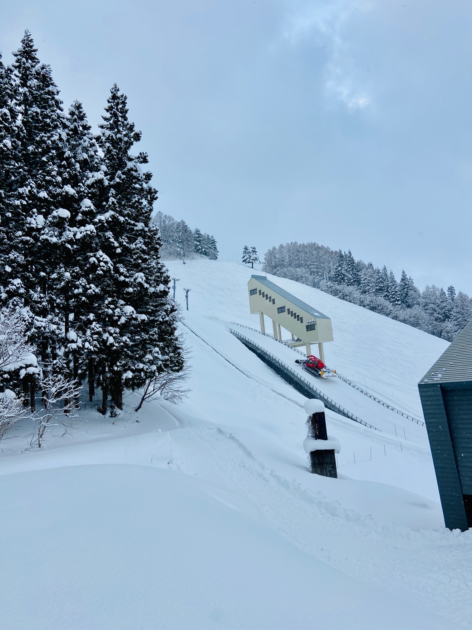 Frenchman can fly Nozawa 