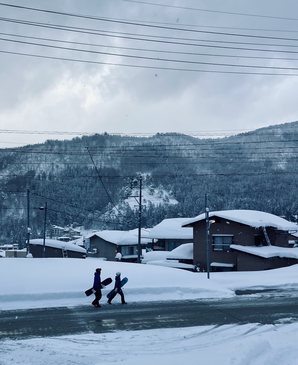 Powder Skis Boards Nozawa