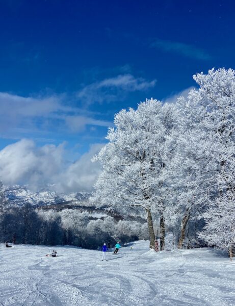 Ski Camp Nozawa Japan