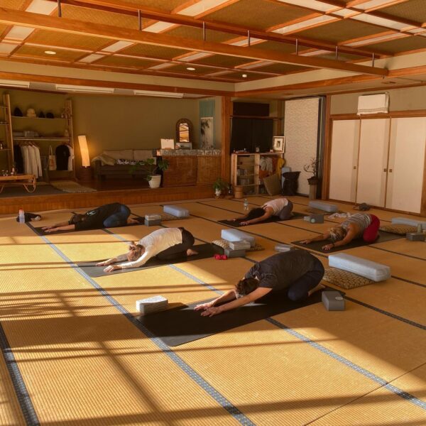 Indoor Activities Nozawa Onsen