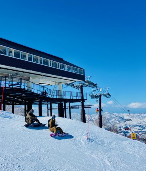 Ski Cherry Blossoms Japan 