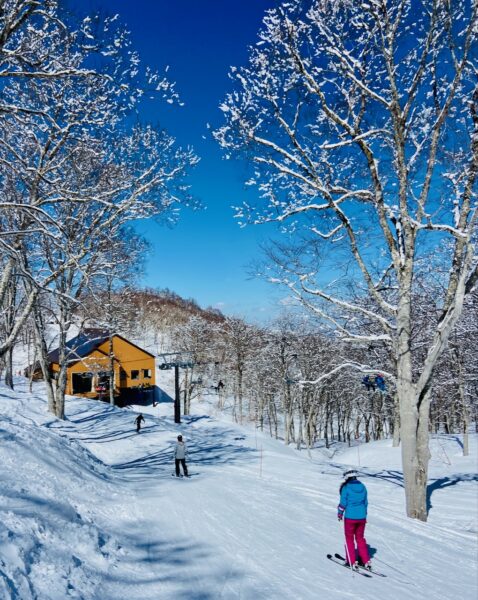 Spring Skiing Fun Japan